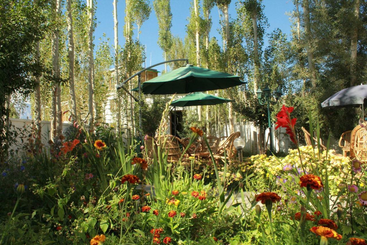 Hotel Ladakh Greens - An Organic Retreat Leh Exterior photo